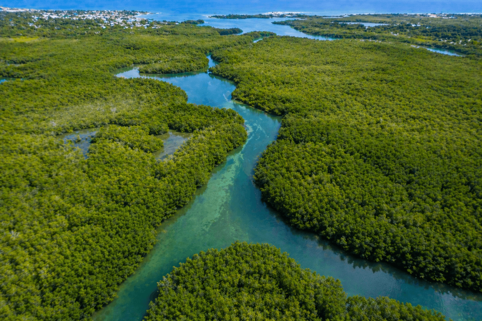 Mangrove vue du ciel KaraïJet