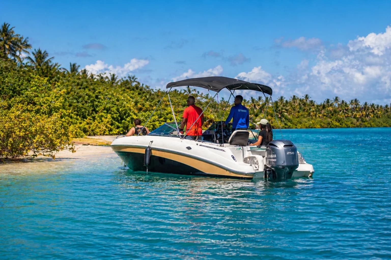 Bateau Mangrove